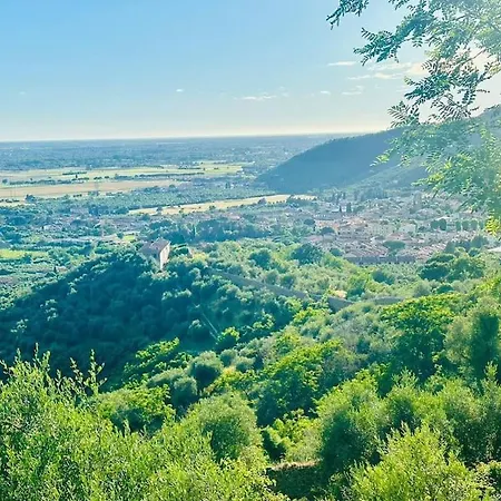 Tatil Evi Le Acacie - Casa Panoramica Tra Gli Olivi Calci