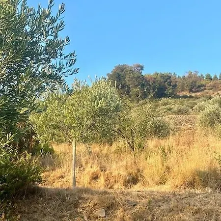 Tatil Evi Le Acacie - Casa Panoramica Tra Gli Olivi *