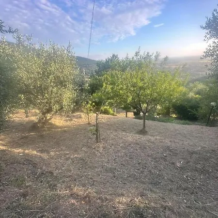 Le Acacie - Casa Panoramica Tra Gli Olivi