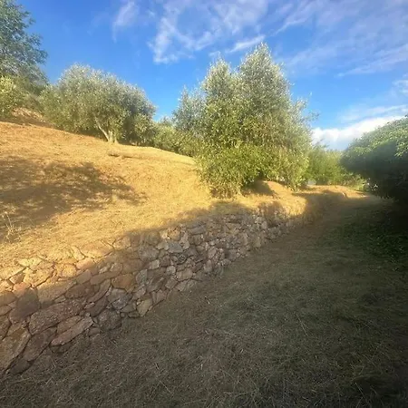 Le Acacie - Casa Panoramica Tra Gli Olivi