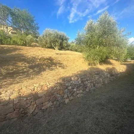 Le Acacie - Casa Panoramica Tra Gli Olivi Tatil Evi *