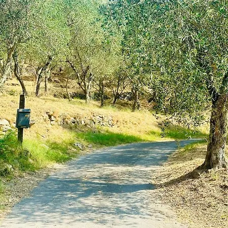 Le Acacie - Casa Panoramica Tra Gli Olivi *