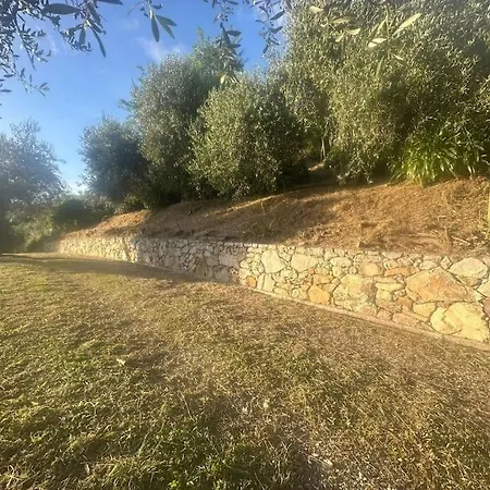 Le Acacie - Casa Panoramica Tra Gli Olivi Calci