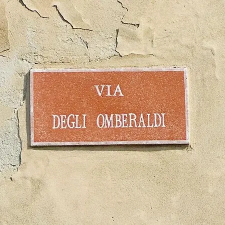 Tatil Evi Le Acacie - Casa Panoramica Tra Gli Olivi Calci
