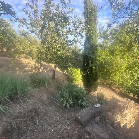 Le Acacie - Casa Panoramica Tra Gli Olivi * Calci