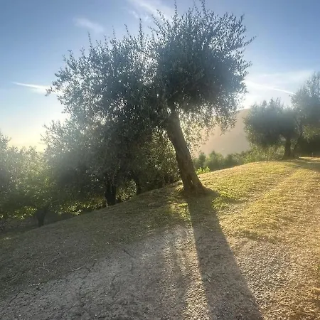 Le Acacie - Casa Panoramica Tra Gli Olivi