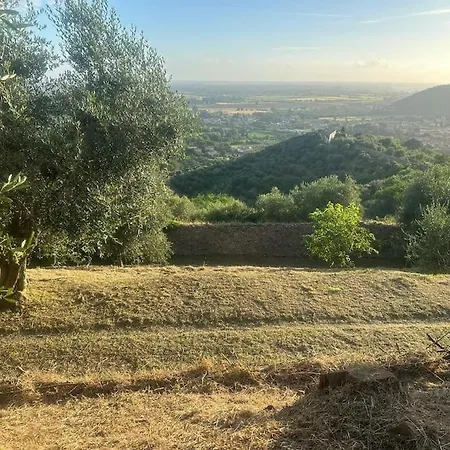 Le Acacie - Casa Panoramica Tra Gli Olivi Tatil Evi