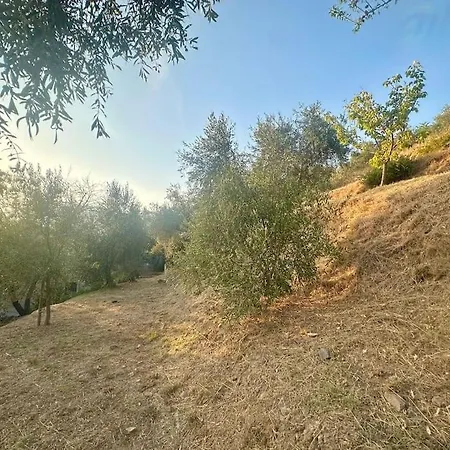 Tatil Evi Le Acacie - Casa Panoramica Tra Gli Olivi *