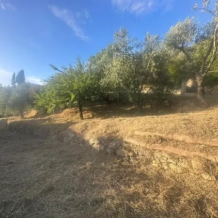 Le Acacie - Casa Panoramica Tra Gli Olivi * Calci