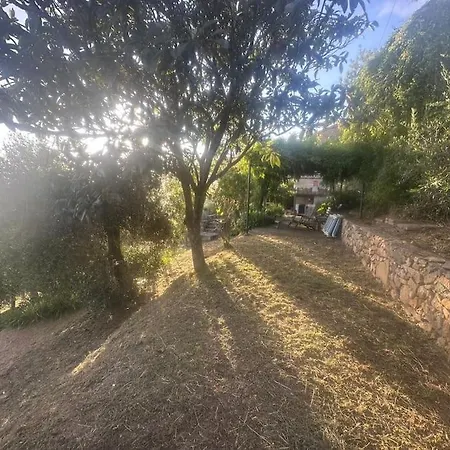 Le Acacie - Casa Panoramica Tra Gli Olivi