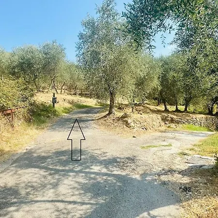 Le Acacie - Casa Panoramica Tra Gli Olivi Tatil Evi *